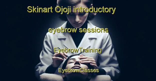 Skinart Ojoji introductory eyebrow sessions | EyebrowTraining | EyebrowClasses | SkinartTraining-Japan