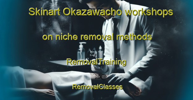 Skinart Okazawacho workshops on niche removal methods | RemovalTraining | RemovalClasses | SkinartTraining-Japan