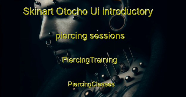 Skinart Otocho Ui introductory piercing sessions | PiercingTraining | PiercingClasses | SkinartTraining-Japan