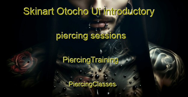 Skinart Otocho Ui introductory piercing sessions | PiercingTraining | PiercingClasses | SkinartTraining-Japan