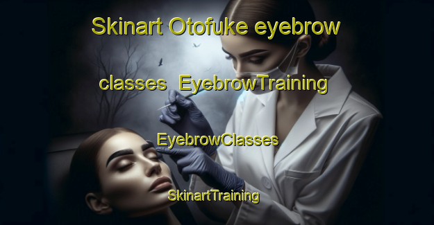 Skinart Otofuke eyebrow classes | EyebrowTraining | EyebrowClasses | SkinartTraining-Japan