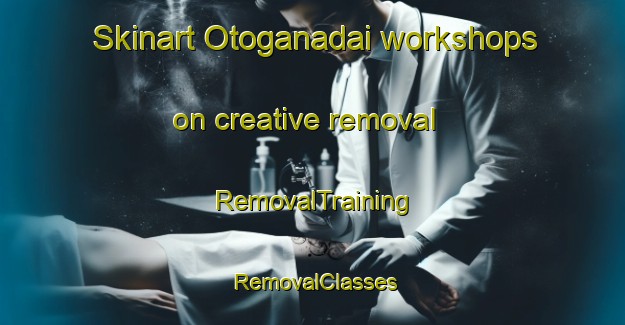 Skinart Otoganadai workshops on creative removal | RemovalTraining | RemovalClasses | SkinartTraining-Japan