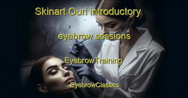 Skinart Ouri introductory eyebrow sessions | EyebrowTraining | EyebrowClasses | SkinartTraining-Japan