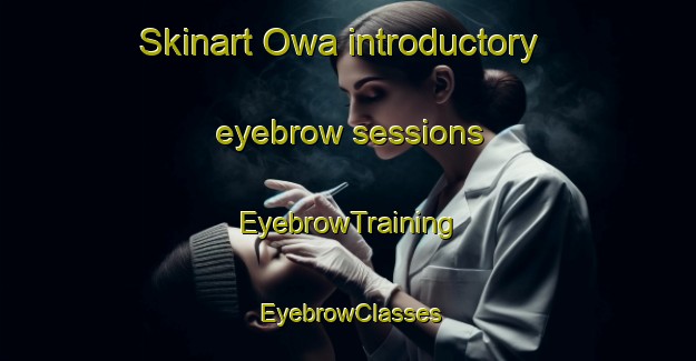 Skinart Owa introductory eyebrow sessions | EyebrowTraining | EyebrowClasses | SkinartTraining-Japan