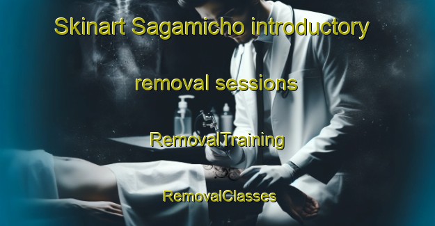 Skinart Sagamicho introductory removal sessions | RemovalTraining | RemovalClasses | SkinartTraining-Japan