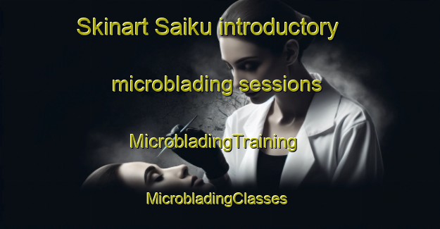 Skinart Saiku introductory microblading sessions | MicrobladingTraining | MicrobladingClasses | SkinartTraining-Japan