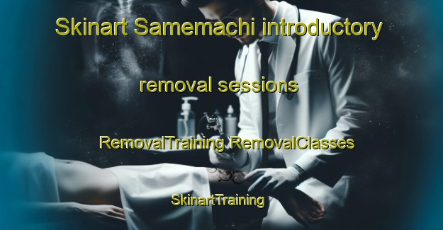 Skinart Samemachi introductory removal sessions | #RemovalTraining #RemovalClasses #SkinartTraining-Japan