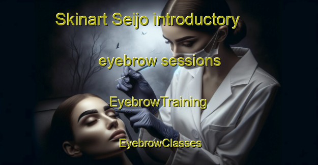 Skinart Seijo introductory eyebrow sessions | EyebrowTraining | EyebrowClasses | SkinartTraining-Japan