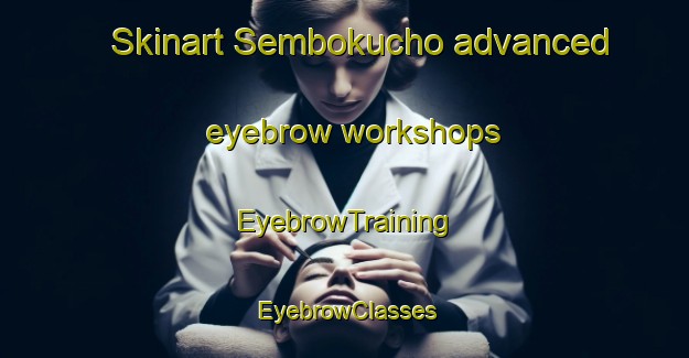 Skinart Sembokucho advanced eyebrow workshops | EyebrowTraining | EyebrowClasses | SkinartTraining-Japan