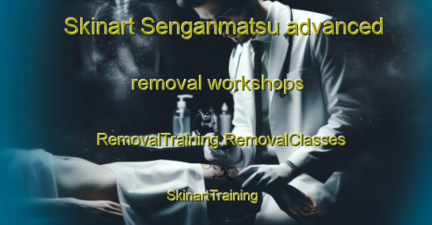 Skinart Senganmatsu advanced removal workshops | #RemovalTraining #RemovalClasses #SkinartTraining-Japan