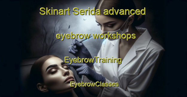 Skinart Serida advanced eyebrow workshops | EyebrowTraining | EyebrowClasses | SkinartTraining-Japan