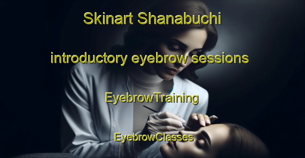 Skinart Shanabuchi introductory eyebrow sessions | EyebrowTraining | EyebrowClasses | SkinartTraining-Japan