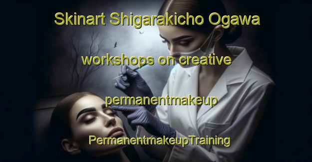 Skinart Shigarakicho Ogawa workshops on creative permanentmakeup | PermanentmakeupTraining | PermanentmakeupClasses | SkinartTraining-Japan
