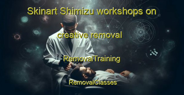 Skinart Shimizu workshops on creative removal | RemovalTraining | RemovalClasses | SkinartTraining-Japan