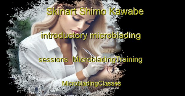 Skinart Shimo Kawabe introductory microblading sessions | MicrobladingTraining | MicrobladingClasses | SkinartTraining-Japan