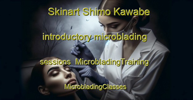 Skinart Shimo Kawabe introductory microblading sessions | MicrobladingTraining | MicrobladingClasses | SkinartTraining-Japan