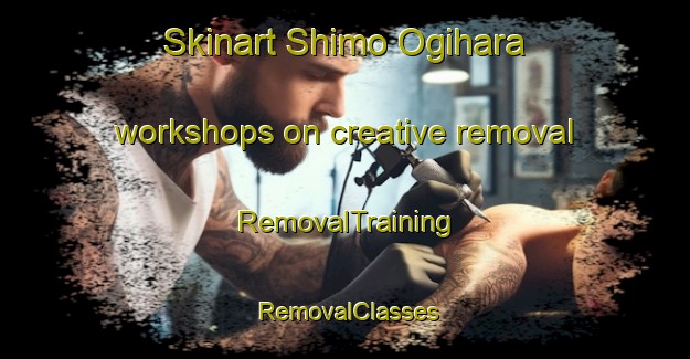 Skinart Shimo Ogihara workshops on creative removal | RemovalTraining | RemovalClasses | SkinartTraining-Japan