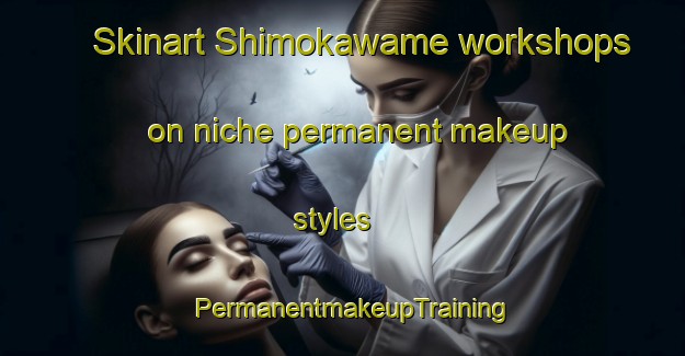 Skinart Shimokawame workshops on niche permanent makeup styles | PermanentmakeupTraining | PermanentmakeupClasses | SkinartTraining-Japan