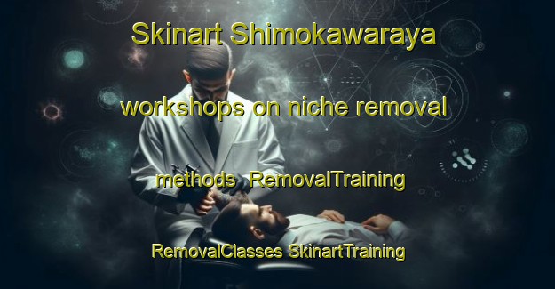 Skinart Shimokawaraya workshops on niche removal methods | #RemovalTraining #RemovalClasses #SkinartTraining-Japan