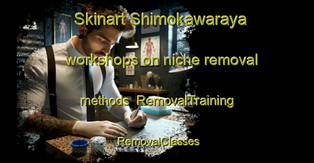 Skinart Shimokawaraya workshops on niche removal methods | RemovalTraining | RemovalClasses | SkinartTraining-Japan