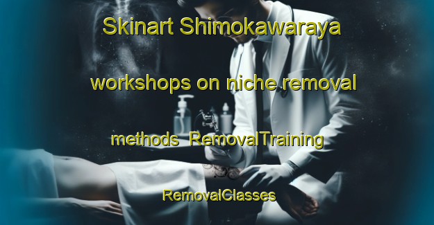 Skinart Shimokawaraya workshops on niche removal methods | RemovalTraining | RemovalClasses | SkinartTraining-Japan
