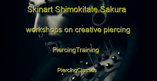 Skinart Shimokitate Sakura workshops on creative piercing | PiercingTraining | PiercingClasses | SkinartTraining-Japan