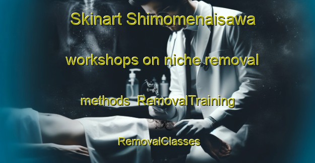 Skinart Shimomenaisawa workshops on niche removal methods | RemovalTraining | RemovalClasses | SkinartTraining-Japan