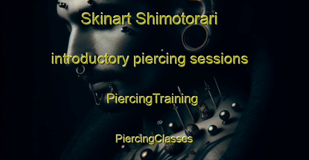 Skinart Shimotorari introductory piercing sessions | #PiercingTraining #PiercingClasses #SkinartTraining-Japan