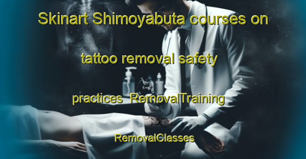 Skinart Shimoyabuta courses on tattoo removal safety practices | RemovalTraining | RemovalClasses | SkinartTraining-Japan