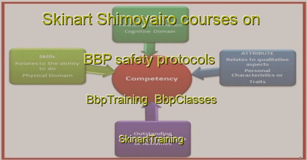 Skinart Shimoyairo courses on BBP safety protocols | BbpTraining | BbpClasses | SkinartTraining-Japan