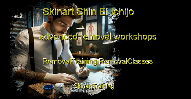 Skinart Shin Ei Ichijo advanced removal workshops | #RemovalTraining #RemovalClasses #SkinartTraining-Japan