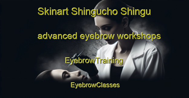 Skinart Shingucho Shingu advanced eyebrow workshops | EyebrowTraining | EyebrowClasses | SkinartTraining-Japan