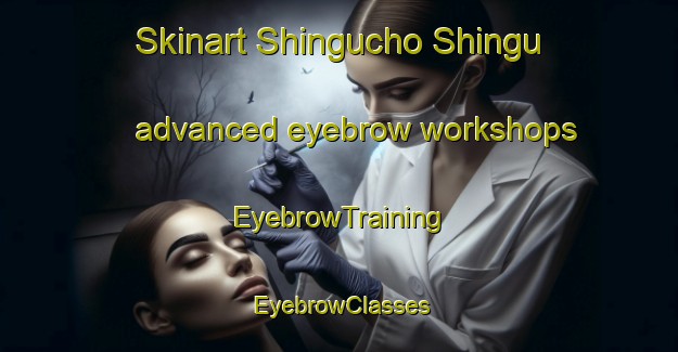 Skinart Shingucho Shingu advanced eyebrow workshops | EyebrowTraining | EyebrowClasses | SkinartTraining-Japan