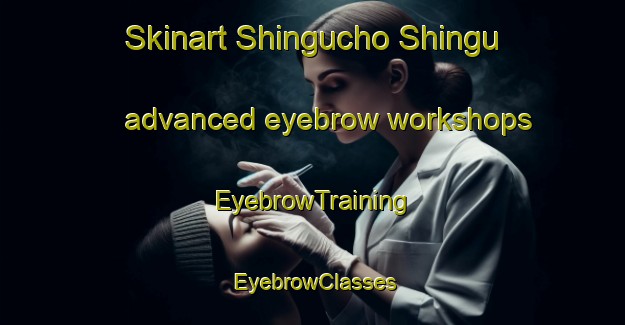 Skinart Shingucho Shingu advanced eyebrow workshops | EyebrowTraining | EyebrowClasses | SkinartTraining-Japan