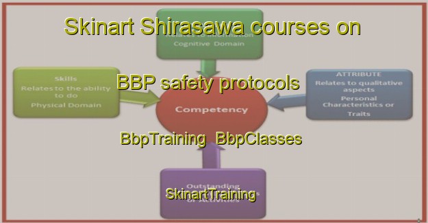 Skinart Shirasawa courses on BBP safety protocols | BbpTraining | BbpClasses | SkinartTraining-Japan
