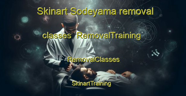 Skinart Sodeyama removal classes | RemovalTraining | RemovalClasses | SkinartTraining-Japan