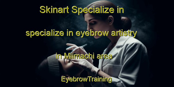 Skinart Specialize in specialize in eyebrow artistry in Miimachi area | EyebrowTraining | EyebrowClasses | SkinartTraining-Japan