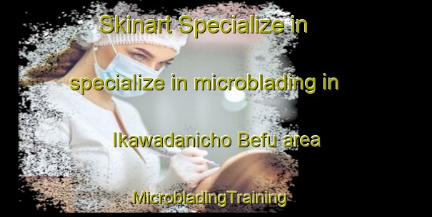 Skinart Specialize in specialize in microblading in Ikawadanicho Befu area | MicrobladingTraining | MicrobladingClasses | SkinartTraining-Japan