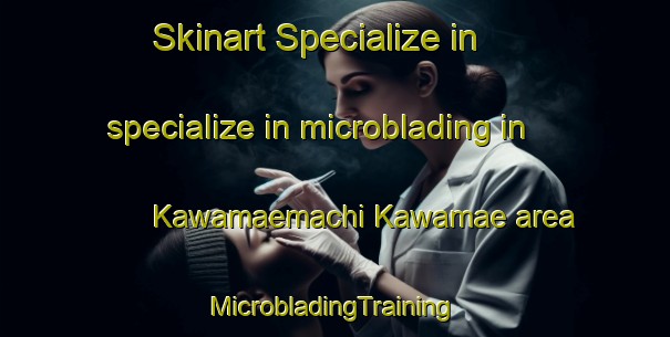 Skinart Specialize in specialize in microblading in Kawamaemachi Kawamae area | #MicrobladingTraining #MicrobladingClasses #SkinartTraining-Japan