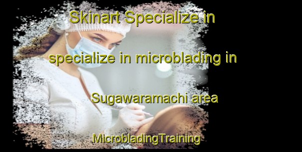 Skinart Specialize in specialize in microblading in Sugawaramachi area | MicrobladingTraining | MicrobladingClasses | SkinartTraining-Japan