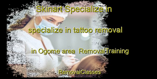 Skinart Specialize in specialize in tattoo removal in Ogome area | RemovalTraining | RemovalClasses | SkinartTraining-Japan