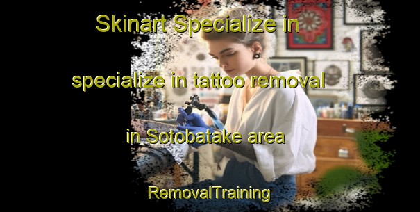 Skinart Specialize in specialize in tattoo removal in Sotobatake area | RemovalTraining | RemovalClasses | SkinartTraining-Japan