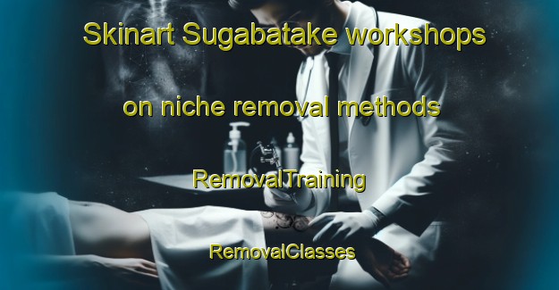 Skinart Sugabatake workshops on niche removal methods | RemovalTraining | RemovalClasses | SkinartTraining-Japan