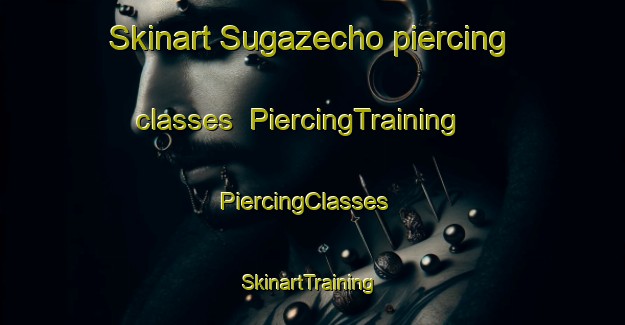Skinart Sugazecho piercing classes | PiercingTraining | PiercingClasses | SkinartTraining-Japan