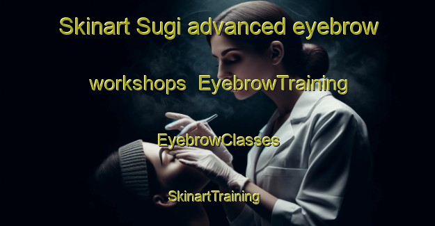 Skinart Sugi advanced eyebrow workshops | EyebrowTraining | EyebrowClasses | SkinartTraining-Japan