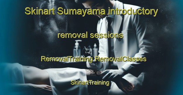 Skinart Sumayama introductory removal sessions | #RemovalTraining #RemovalClasses #SkinartTraining-Japan