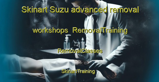 Skinart Suzu advanced removal workshops | RemovalTraining | RemovalClasses | SkinartTraining-Japan
