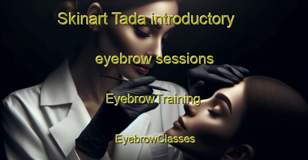 Skinart Tada introductory eyebrow sessions | EyebrowTraining | EyebrowClasses | SkinartTraining-Japan