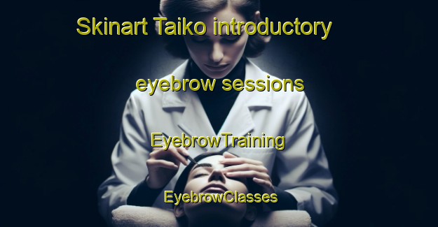 Skinart Taiko introductory eyebrow sessions | EyebrowTraining | EyebrowClasses | SkinartTraining-Japan