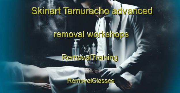 Skinart Tamuracho advanced removal workshops | RemovalTraining | RemovalClasses | SkinartTraining-Japan
